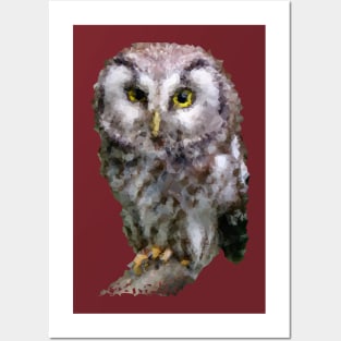 Low Poly Owl Posters and Art